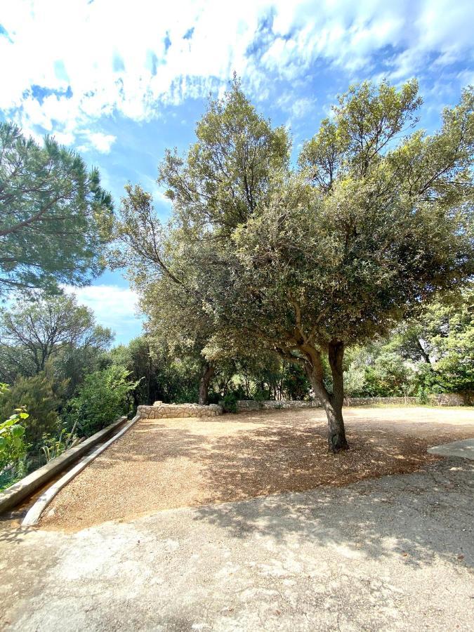 Guesthouse Kurelic Rab Kampor Εξωτερικό φωτογραφία